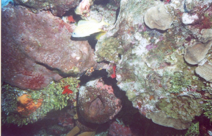 04_San_Francisco_Wall-07.jpg