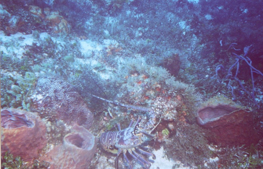 05_Delilah_Wall-09.jpg