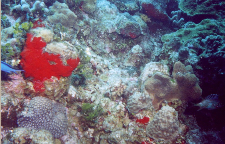 06_Chuckup_Reef-06.jpg
