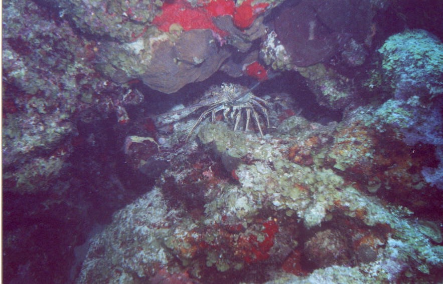 06_Chuckup_Reef-09.jpg