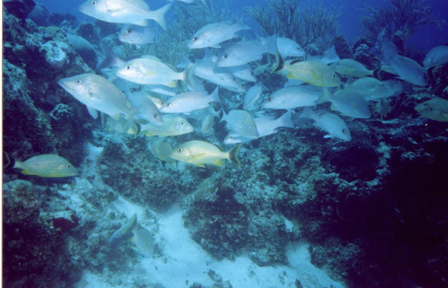 06_Chuckup_Reef-16.jpg