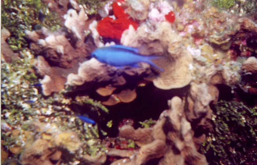 06_Chuckup_Reef-20.jpg
