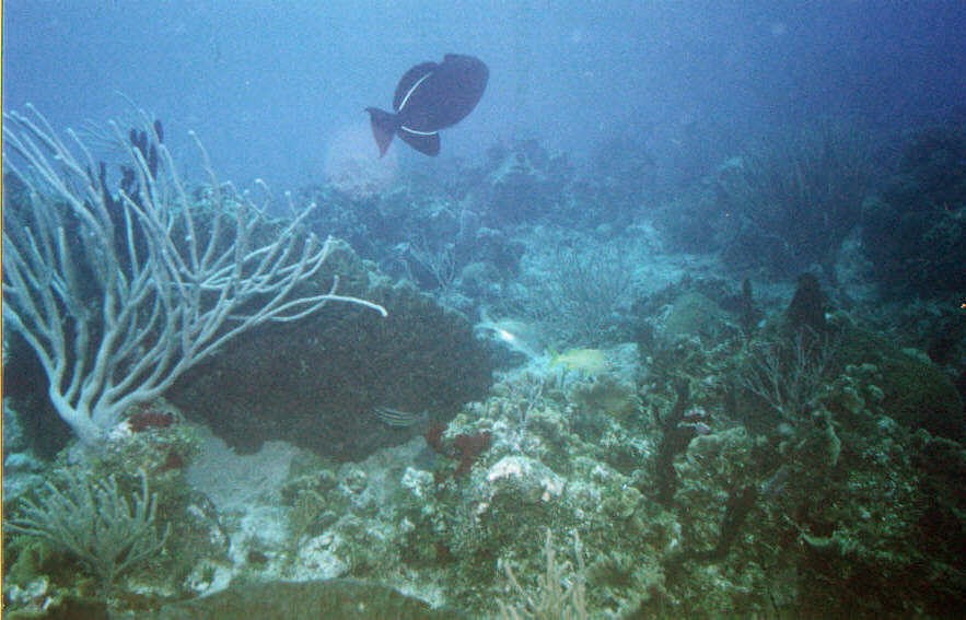 06_Chuckup_Reef-22.jpg
