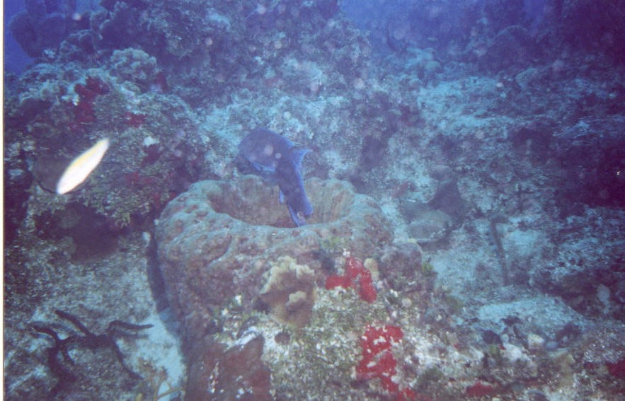 06_Chuckup_Reef-23.jpg