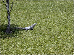 00Image001.jpg