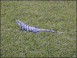 00Image005.jpg