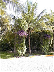 00Image050.jpg