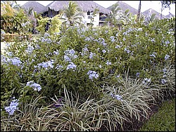 00Image054.jpg