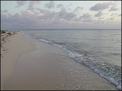 00Image064.jpg