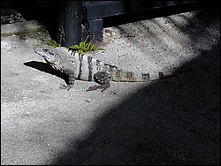 00Image073.jpg