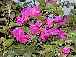 00Image085.jpg