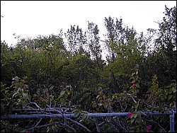 00Image089.jpg