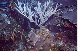 01_Columbia_Deep-02.jpg