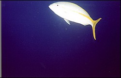 01_Columbia_Deep-08.jpg