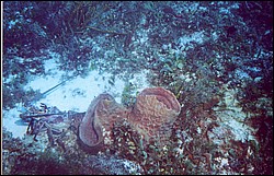 05_Delilah_Wall-08.jpg