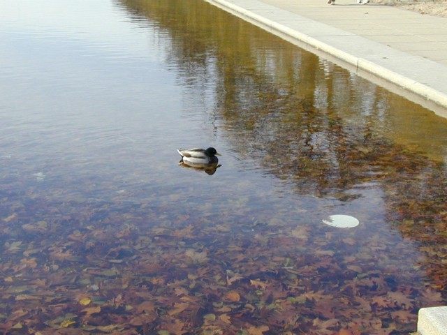 Image048.jpg