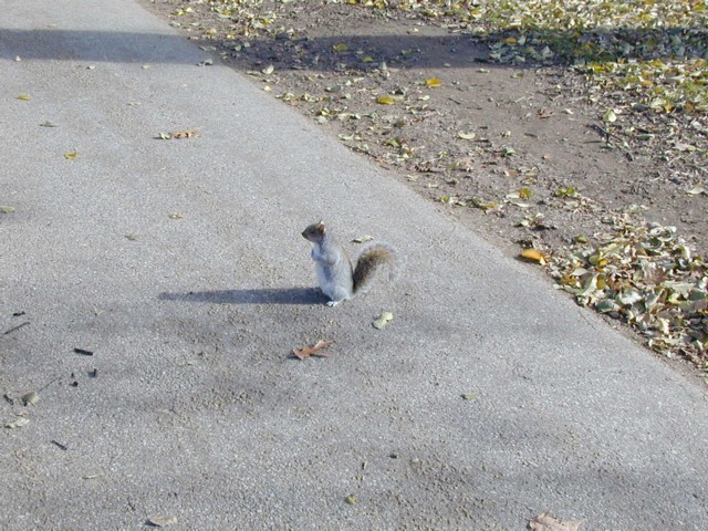 Image051.jpg