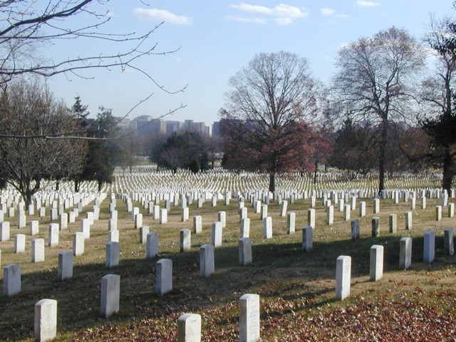 Image100.jpg