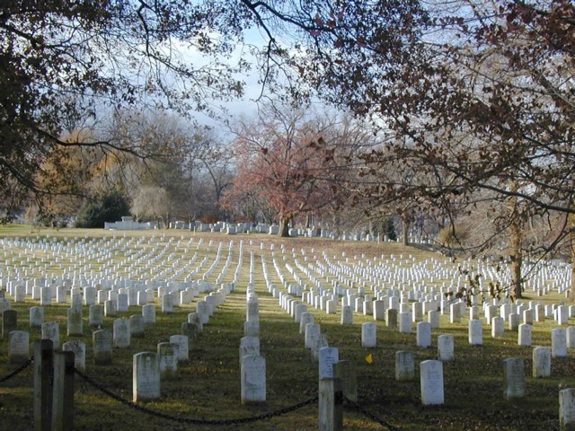 Image102.jpg