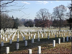 Image100.jpg