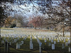 Image102.jpg