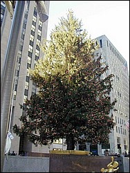 zImage032.jpg