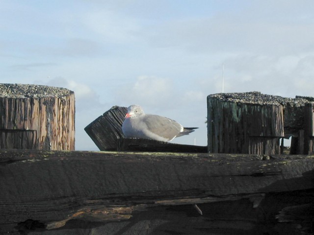 Image043.jpg