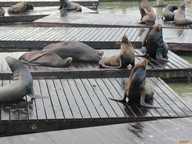 Image050.jpg