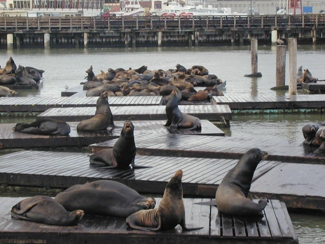 Image051.jpg
