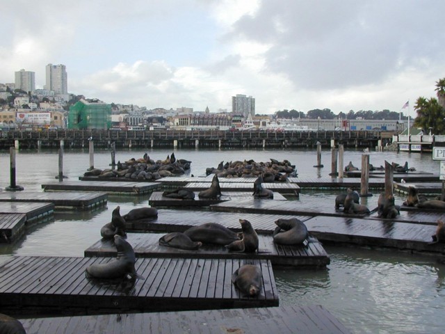 Image052.jpg