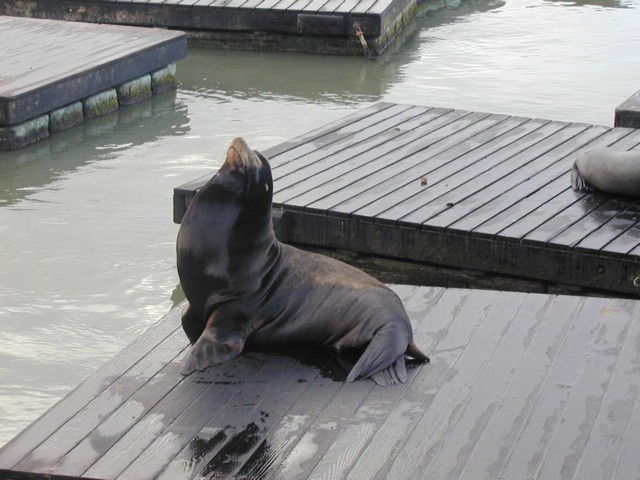 Image053.jpg