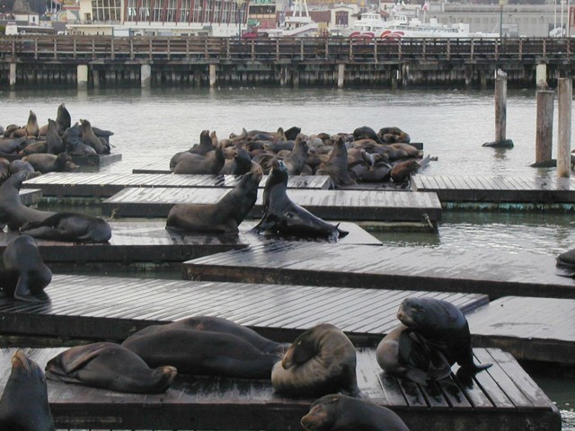Image054.jpg