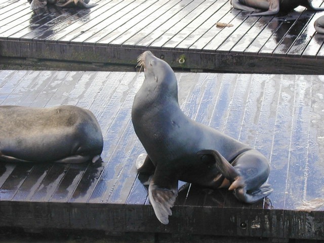 Image056.jpg