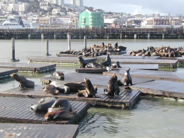 Image062.jpg