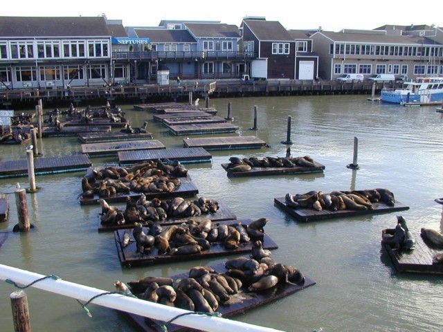 Image065.jpg