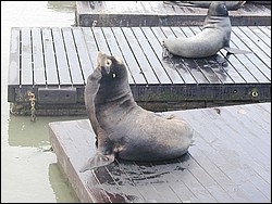 Image048.jpg