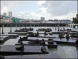 Image052.jpg