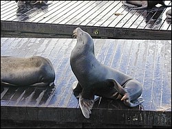 Image056.jpg