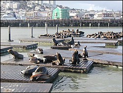 Image062.jpg