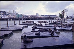 K12015_15.jpg