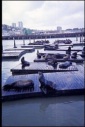 K13014_14.jpg