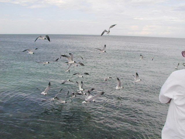 5900_01.jpg