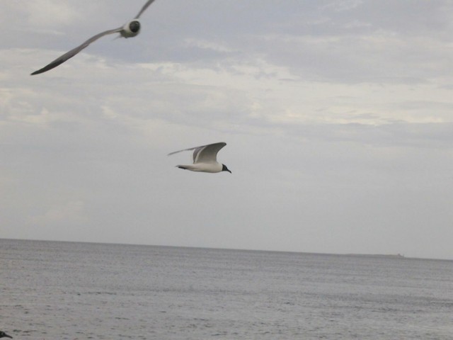 5900_02.jpg