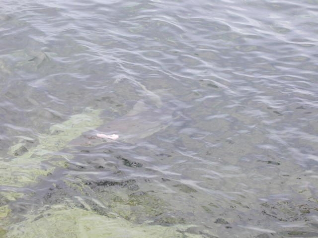 5900_07.jpg