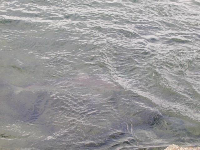 5900_09.jpg