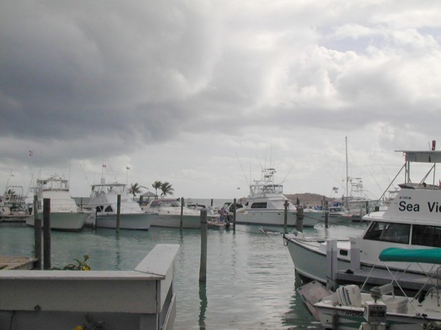 5900_15.jpg
