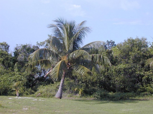 5900_19.jpg