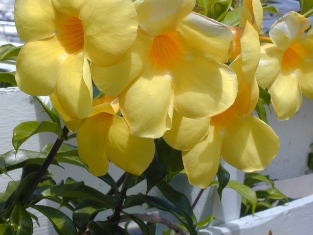 5900_35.jpg