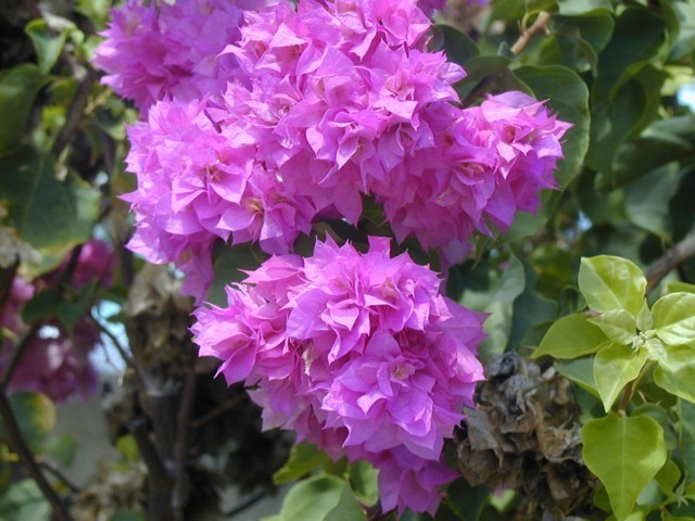 5900_36.jpg