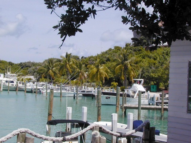 5900_40.jpg